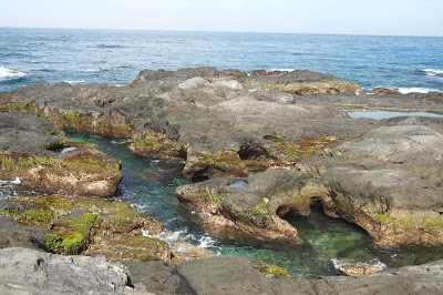 サンゴの浜海水浴場