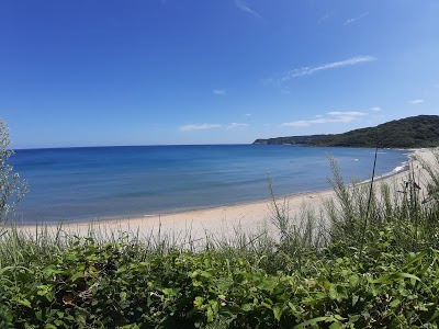 井手ヶ浜海水浴場