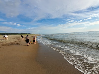 桂浜海水浴場