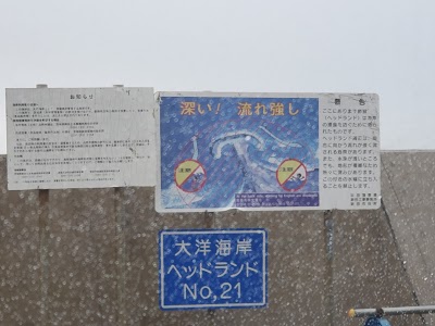 大洋海岸