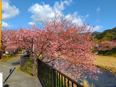 河津浜海水浴場