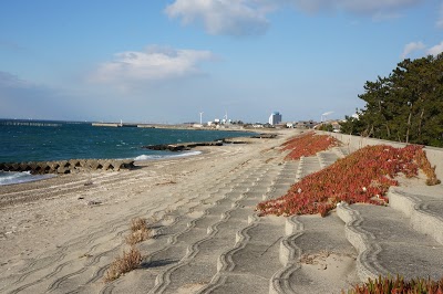 西之口海岸