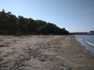 合浦公園海水浴場