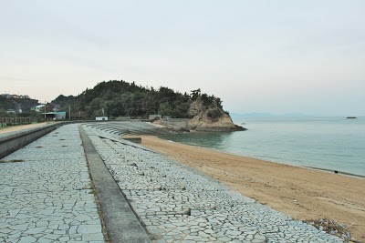 桜井海岸