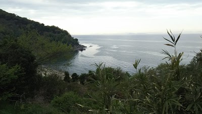和井田浜海水浴場