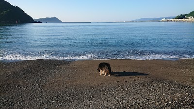 富士ヶ浜