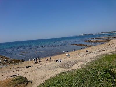 夏井ヶ浜