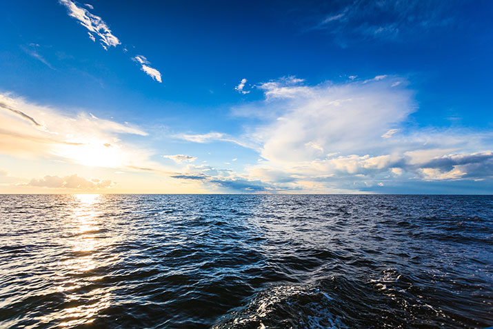 Ocean