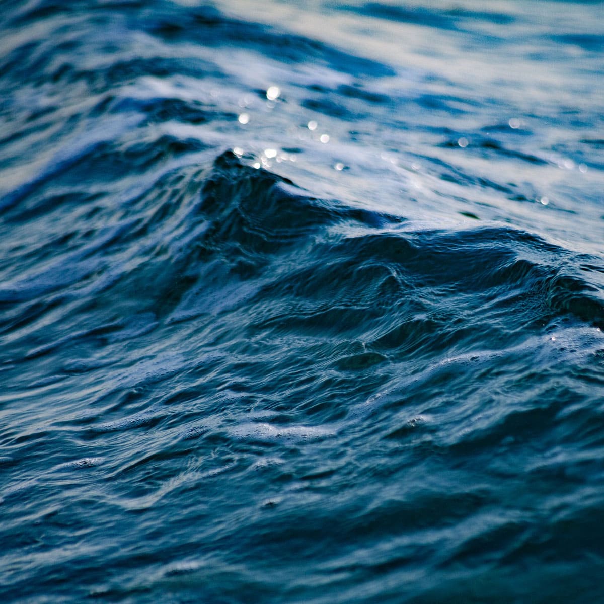 海