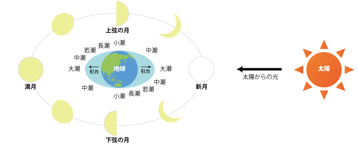 潮のメカニズム
