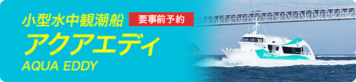 小型水中観潮船 アクアエディ